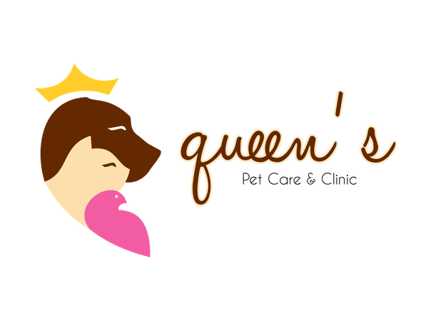 Queen's Petcare and Clinic Story illustration